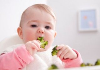 Рецепты из брокколи для малышей-годовичков