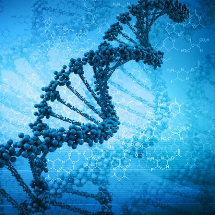 Генетики впервые создали искусственную хромосому